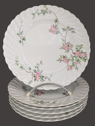 Assiettes plates haviland - 6,