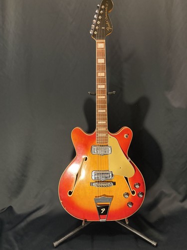 Fender coronado safe - fender,