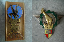 INSIGNES 61 BATAILLON SOUTIEN