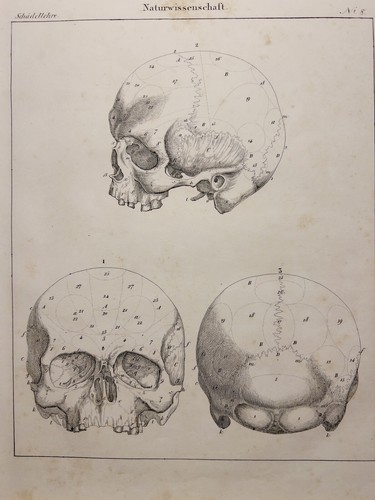 Lithographie ancienne 1833 - lithographie,