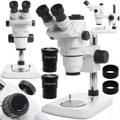 Microscope stéréo