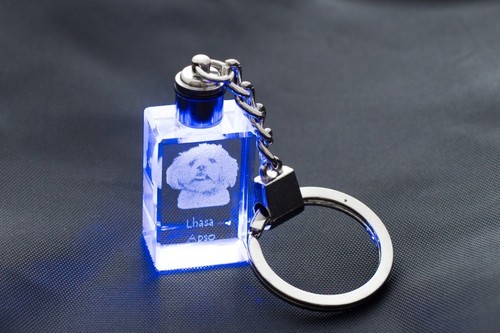 Lhassa apso porte clés - lhassa, en