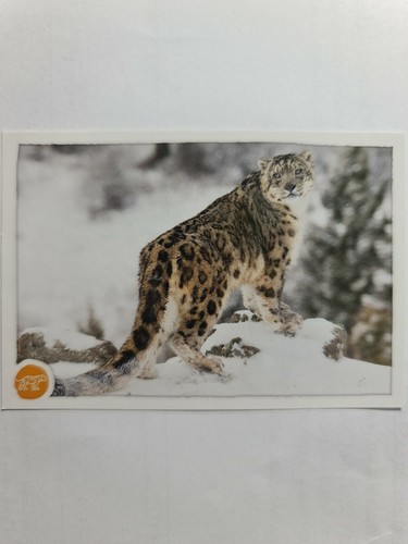 Image sticker autocollant