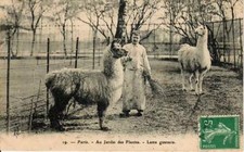 RARE CPA - PARIS - AU JARDIN