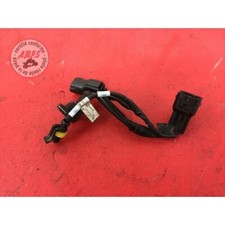 Faisceau moteur Triumph