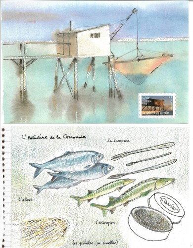 Peche au carrelet - ¨peche,