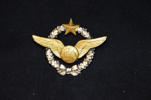 Insigne aviation brevet - insigne, aviation-brevet