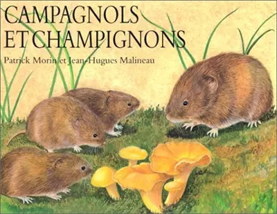 Campagnols champignons - campagnols, et