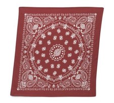 Bandana Harley-Davidson "Chili