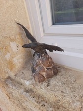 Ancienne Sculpture Bronze Envol Aigle Sur Rocher