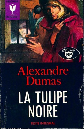 Tulipe noire alexandre - la,