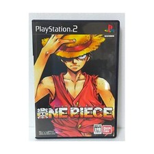 Fighting for One Piece -