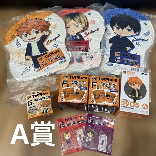 Haikyuu gsc prize set - gsc, a