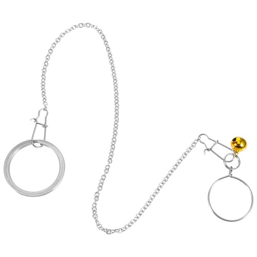 Cercle cou d oiseau - cercle,