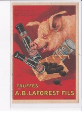 illustrateur, champignons, Auzolle Marcellin, publicité, truffes .B. la fores