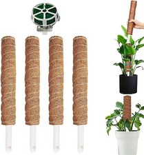 4 Pièces Bâton de Mousse Bâton de Mousse de Noix de Coco en Bâton de Plante d...