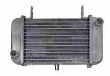 Radiateur eau derby moto gp1 - radiateur,