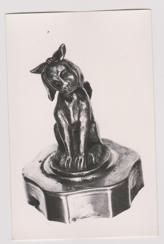 Chien nœud photo - chien,