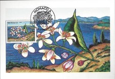 MONACO - 4 CARTES MAXIMUM 1er JOUR - 4 SAISONS du CITRONNIER - 4 Scans