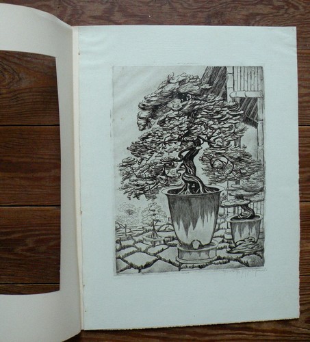 Gravure pointe sèche bonzaï - pointe,