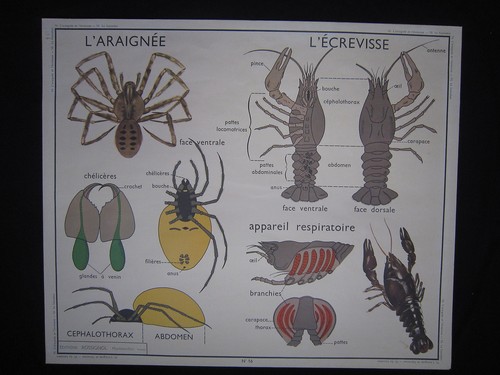 Y001 affiche scolaire ecole - y001,