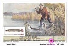 LA PÊCHE EN EAU DOUCE, PÊCHE