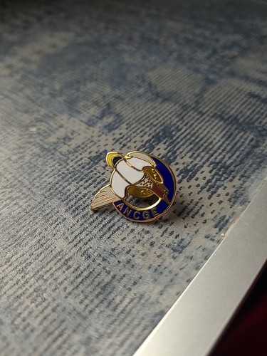 Pins chasse ancge - chasse,