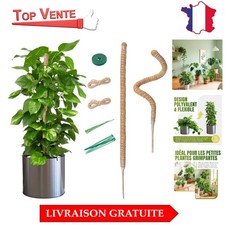 Kit Complet de Tuteurs en