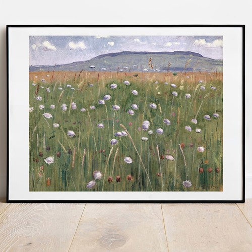 Art imprimé hodler - imprimé, meadow