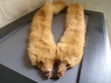 costume vêtement d'époque femme Hermine