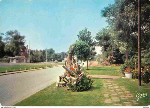 Carte postale stella - carte,