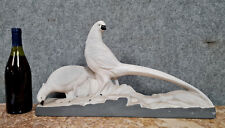 Couple de faisans dorés en