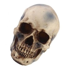 1: 1 Réplique Réaliste