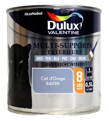 Peinture dulux valentine multi - peinture,