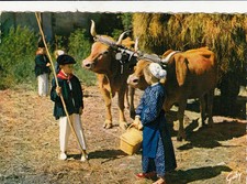 Carte postale 10x15cm