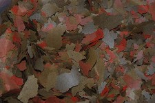 Spécialiste en Flocon