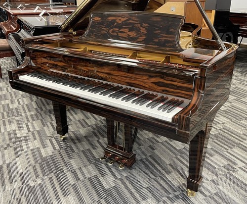 Steinway grand piano - grand,