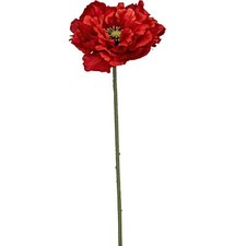 4er-Set Rouge Coquelicot