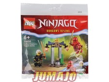 LEG7 Figurine Poly bag LEGO Ninjago 47 pièces : Kai & Rapton Temple battle 30650