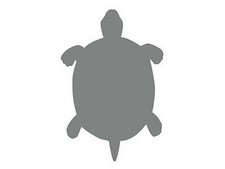Sticker tortue de Terre -