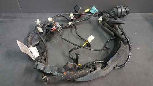 Faisceau electrique porte - faisceau,