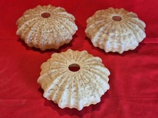 3 ANCIENS ABAT JOUR LAMPE