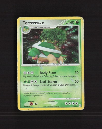 Torterra 130 diamond - 17/130,