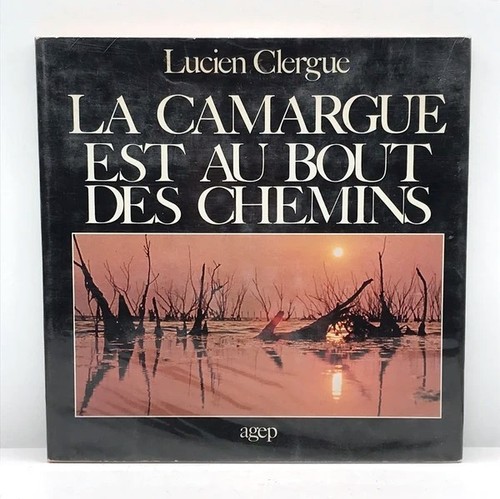 Camargue est bout des - au,