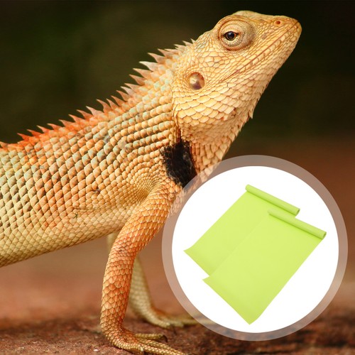 Pcs tapis pour reptiles - pcs,