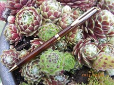 * ANCIEN  STYLO BILLE WATERMAN