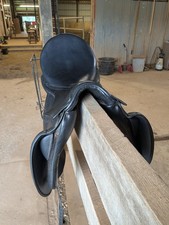 27cm Stubben Euphoria with 18"