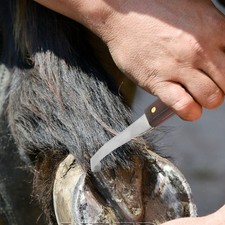  Tourne de sabot de sabot