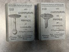 Maublanc – Les Champignons