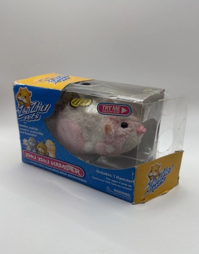 Zhu hamster pets - zhu,